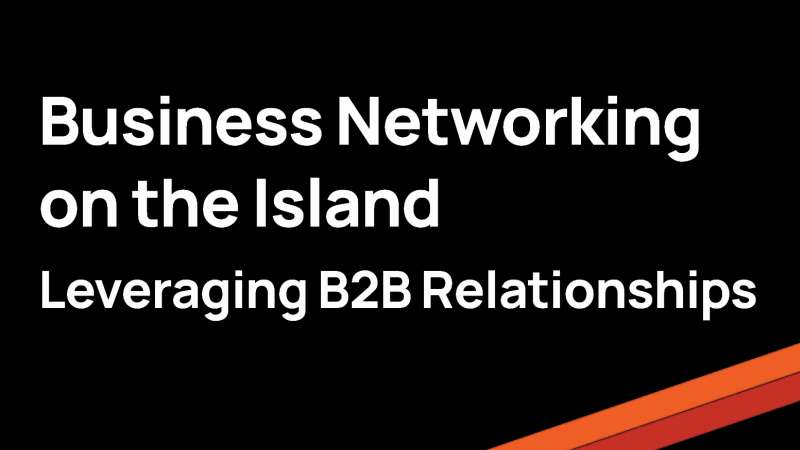 Business Networking on the Island: Leveraging B2B Relationships for Growth